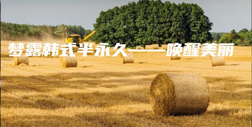 夢(mèng)露韓式半永久——喚醒美麗插圖