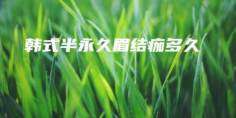 韓式半永久眉結(jié)痂多久插圖