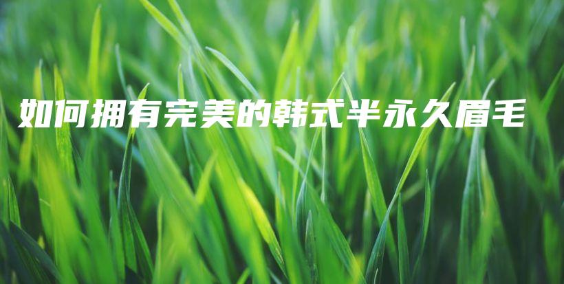 如何擁有完美的韓式半永久眉毛插圖