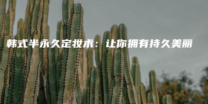韓式半永久定妝術(shù)：讓你擁有持久美麗插圖