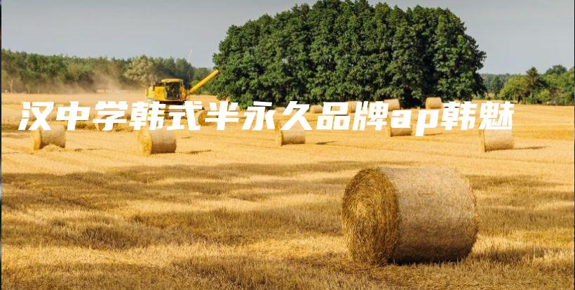 漢中學(xué)韓式半永久品牌ap韓魅插圖