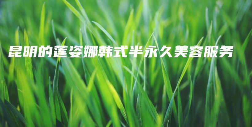 昆明的蓮姿娜韓式半永久美容服務(wù)插圖