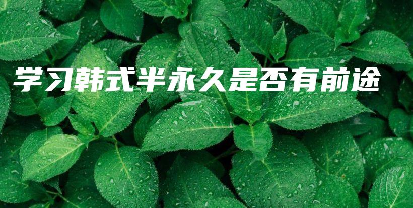 學(xué)習(xí)韓式半永久是否有前途插圖