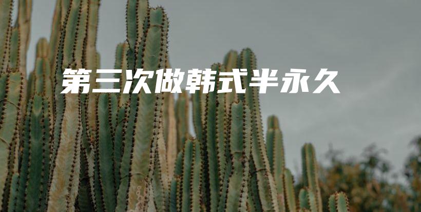 第三次做韓式半永久插圖