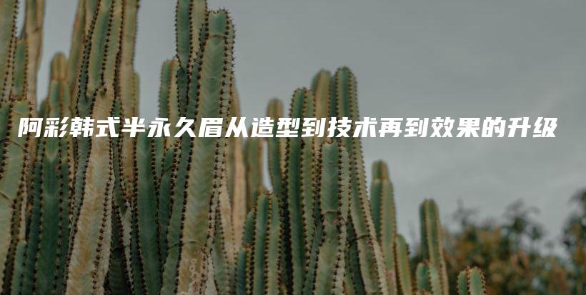 阿彩韓式半永久眉從造型到技術再到效果的升級插圖