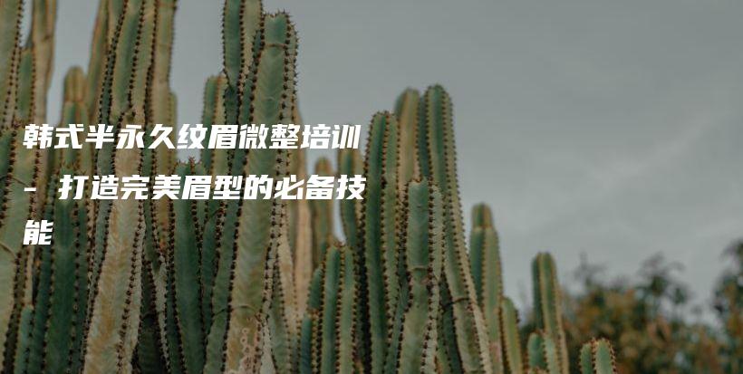 韓式半永久紋眉微整培訓 – 打造完美眉型的必備技能插圖