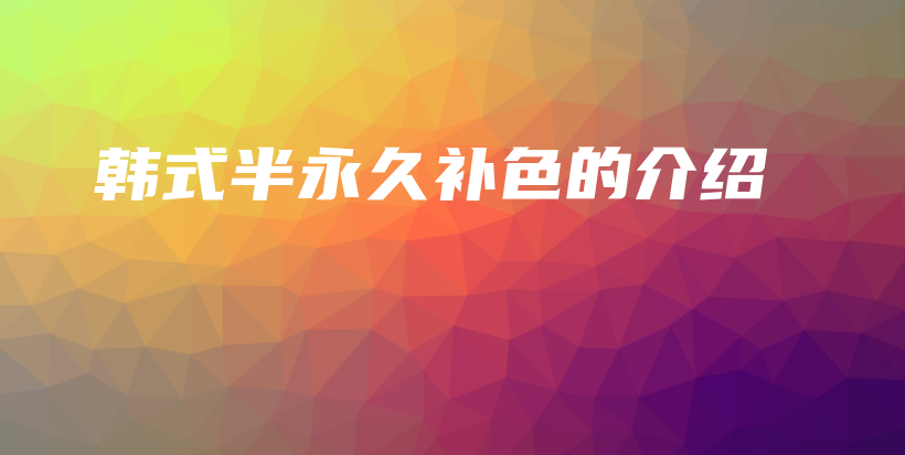 韓式半永久補(bǔ)色的介紹插圖