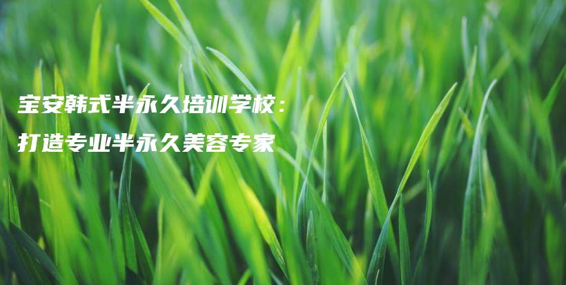 寶安韓式半永久培訓(xùn)學(xué)校：打造專業(yè)半永久美容專家插圖
