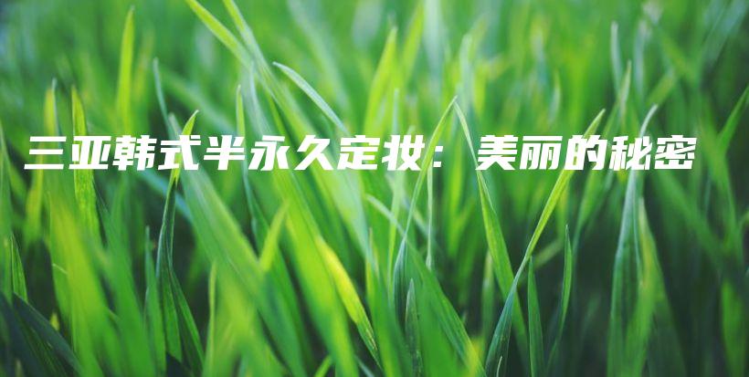 三亞韓式半永久定妝：美麗的秘密插圖