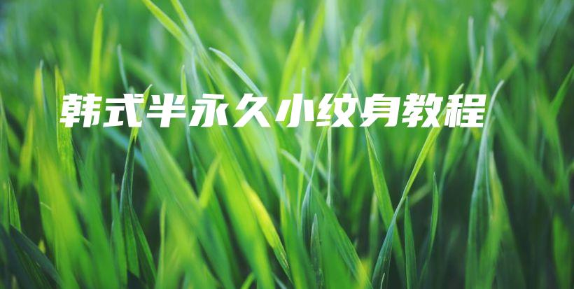 韓式半永久小紋身教程插圖
