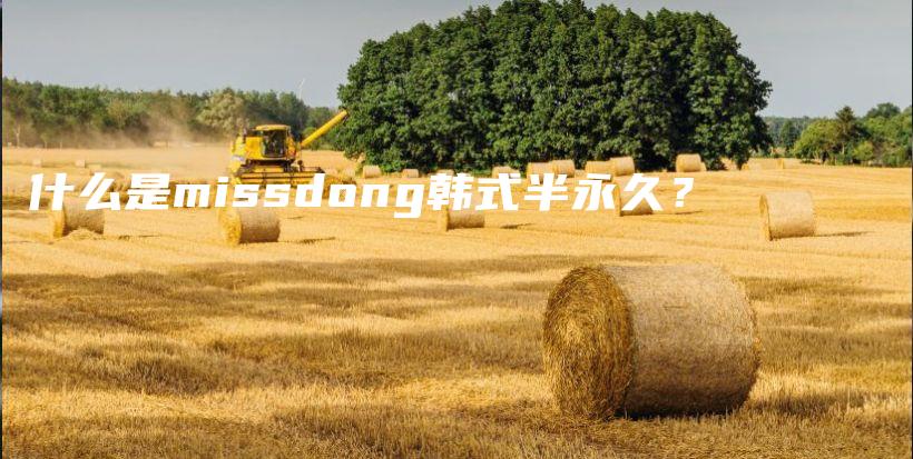 什么是missdong韓式半永久？插圖