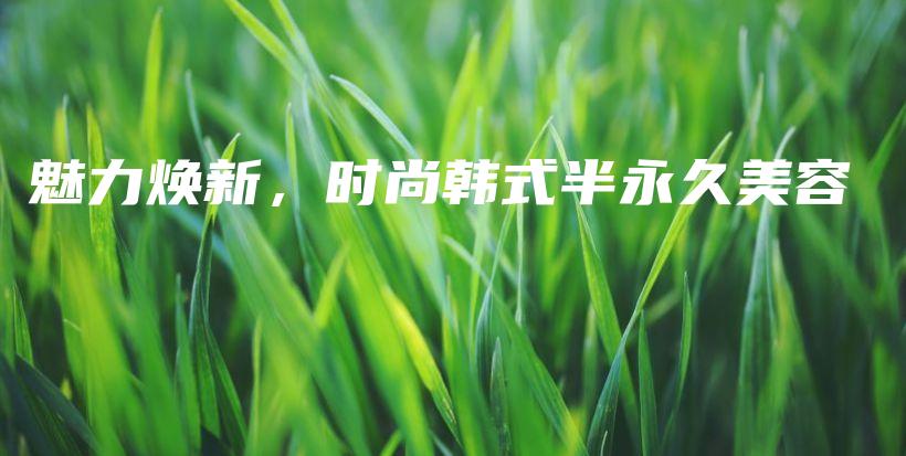 魅力煥新，時(shí)尚韓式半永久美容插圖