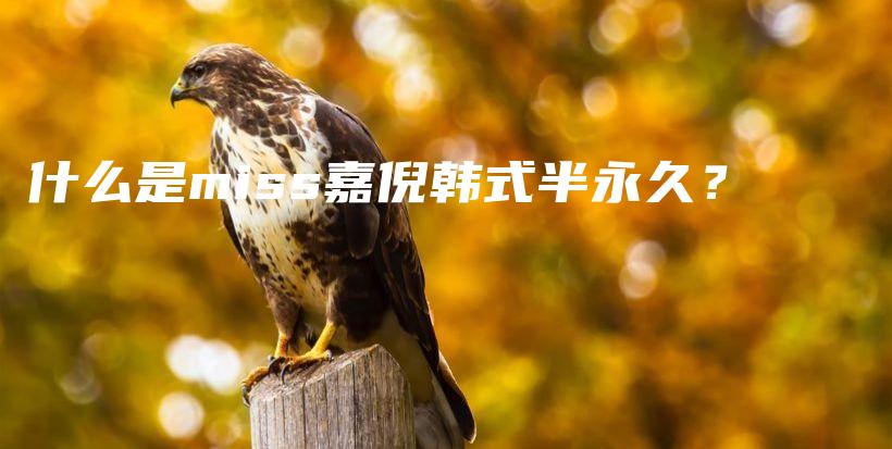 什么是miss嘉倪韓式半永久？插圖