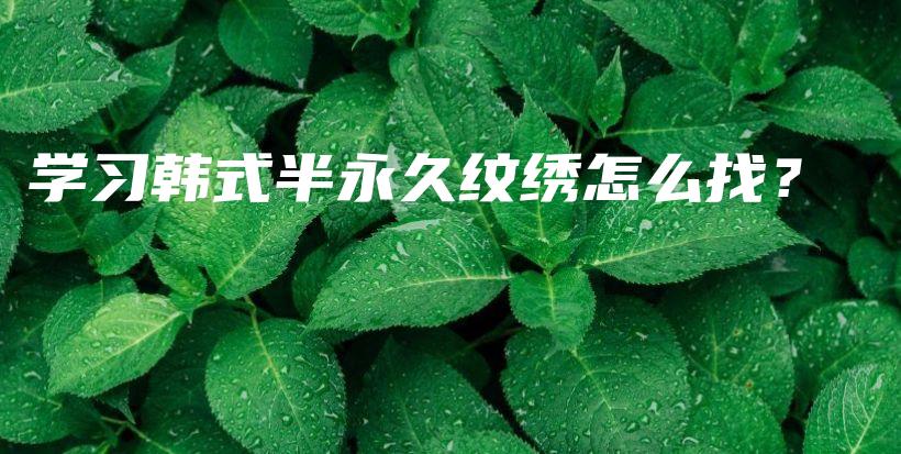 學(xué)習(xí)韓式半永久紋繡怎么找？插圖