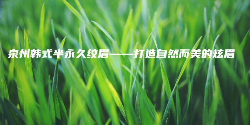 泉州韓式半永久紋眉——打造自然而美的炫眉插圖