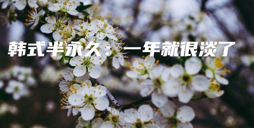 韓式半永久：一年就很淡了插圖