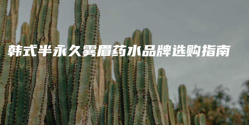 韓式半永久霧眉藥水品牌選購指南插圖