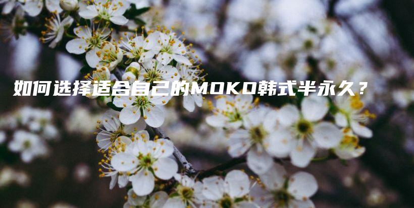 如何選擇適合自己的MOKO韓式半永久？插圖