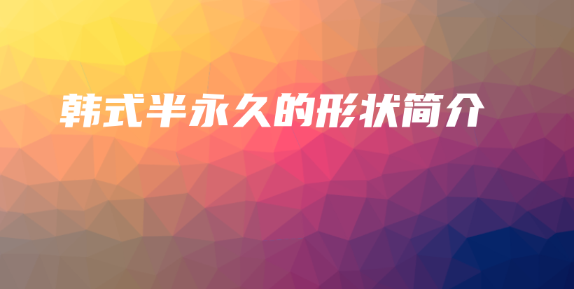 韓式半永久的形狀簡介插圖