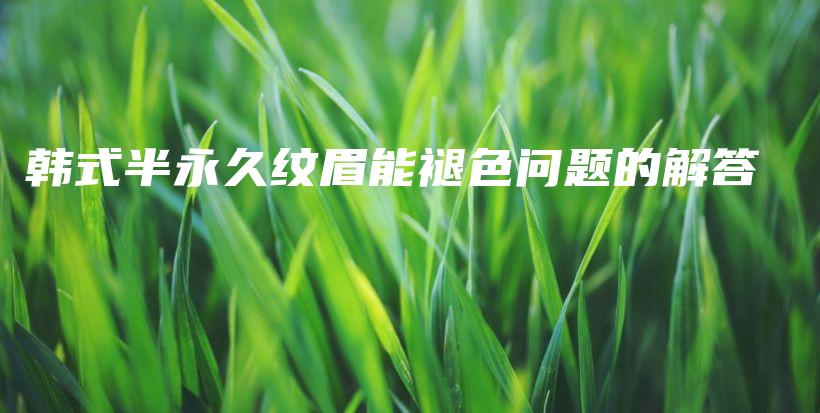 韓式半永久紋眉能褪色問(wèn)題的解答插圖