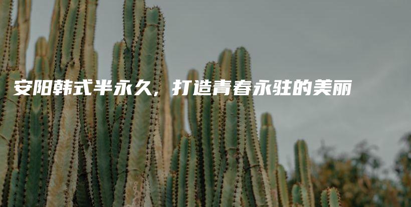 安陽(yáng)韓式半永久, 打造青春永駐的美麗插圖
