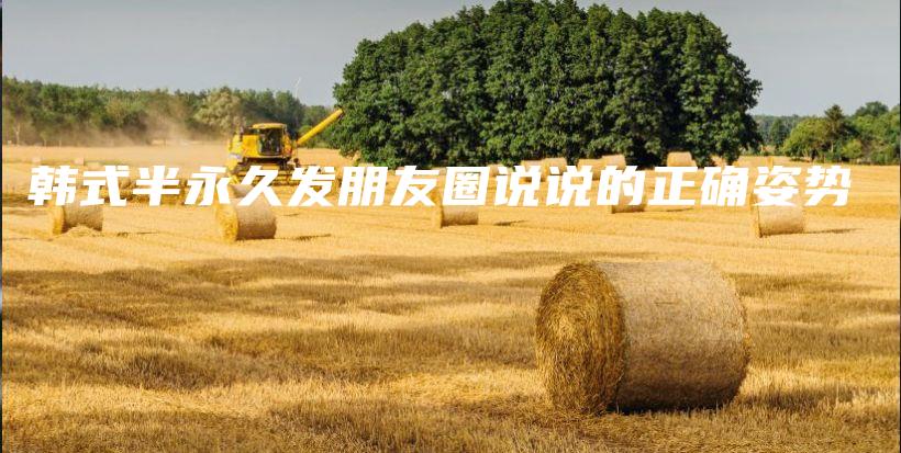 韓式半永久發(fā)朋友圈說說的正確姿勢插圖