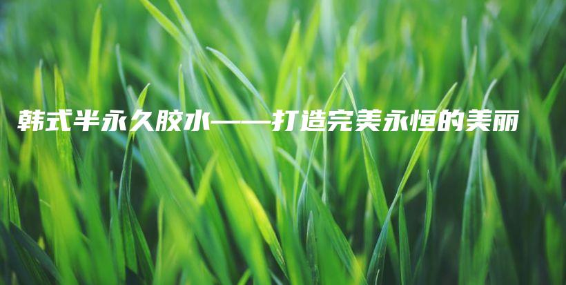 韓式半永久膠水——打造完美永恒的美麗插圖