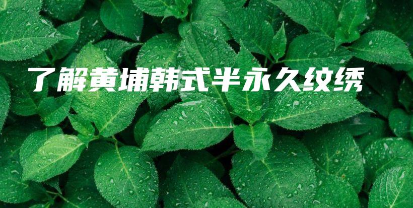 了解黃埔韓式半永久紋繡插圖