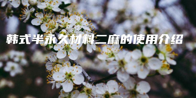 韓式半永久材料二麻的使用介紹插圖
