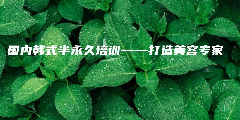 國內(nèi)韓式半永久培訓(xùn)——打造美容專家插圖