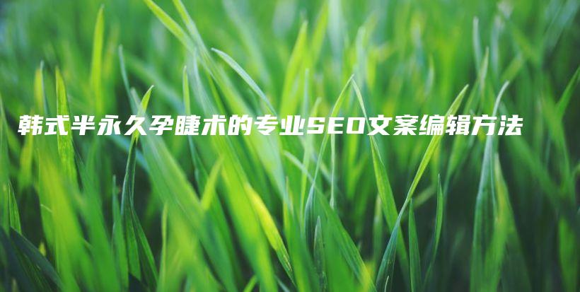 韓式半永久孕睫術(shù)的專業(yè)SEO文案編輯方法插圖