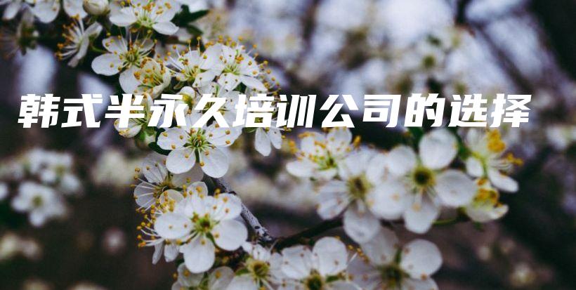 韓式半永久培訓(xùn)公司的選擇插圖