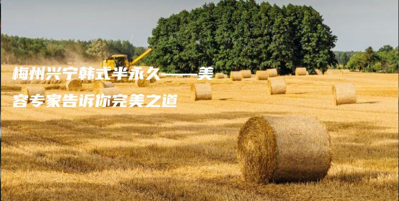 梅州興寧韓式半永久——美容專家告訴你完美之道插圖