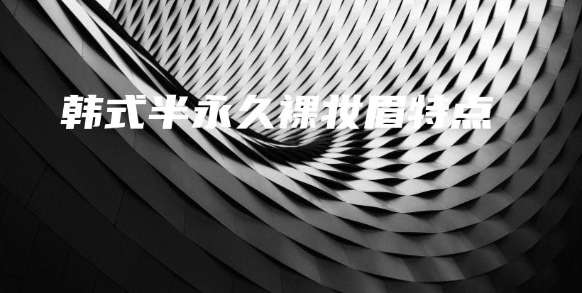 韓式半永久裸妝眉特點(diǎn)插圖