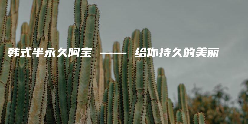 韓式半永久阿寶 —— 給你持久的美麗插圖