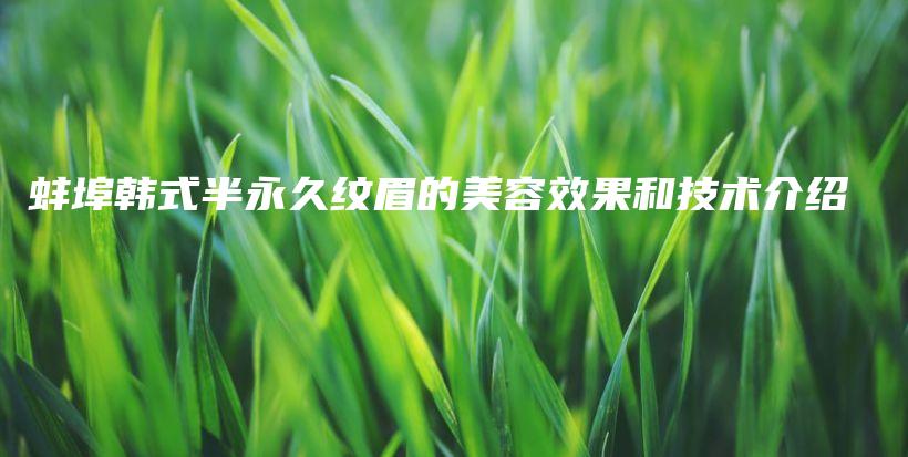 蚌埠韓式半永久紋眉的美容效果和技術(shù)介紹插圖