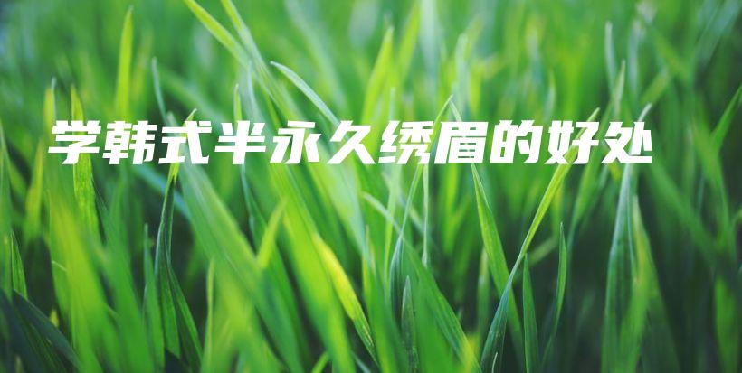 學(xué)韓式半永久繡眉的好處插圖