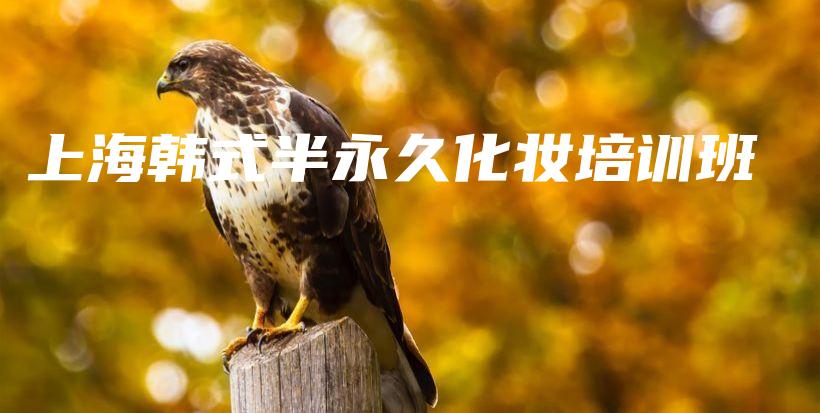 上海韓式半永久化妝培訓班插圖