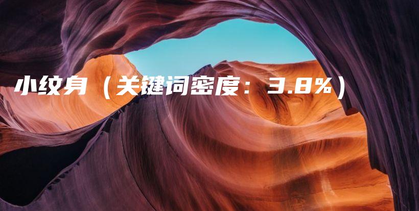 小紋身（關(guān)鍵詞密度：3.8%）插圖