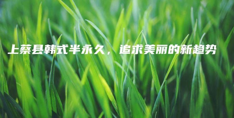 上蔡縣韓式半永久，追求美麗的新趨勢(shì)插圖