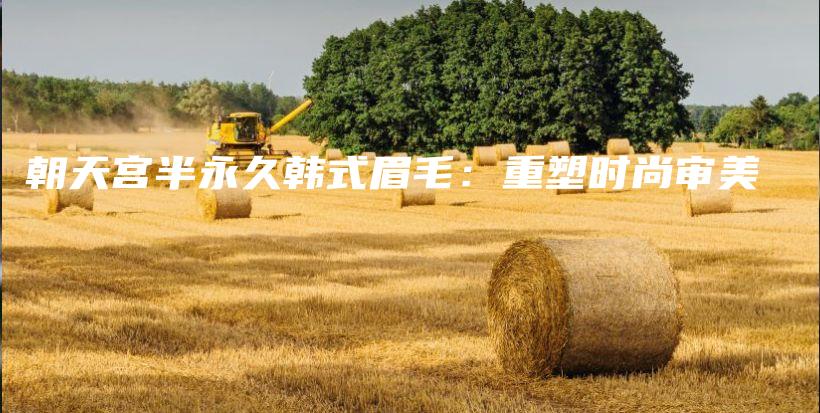 朝天宮半永久韓式眉毛：重塑時(shí)尚審美插圖