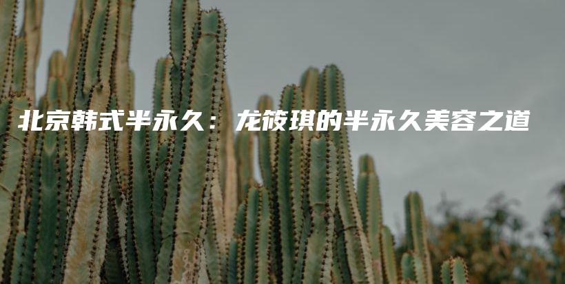 北京韓式半永久：龍?bào)沌鞯陌胗谰妹廊葜啦鍒D