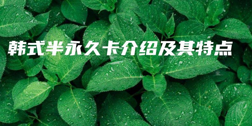 韓式半永久卡介紹及其特點(diǎn)插圖