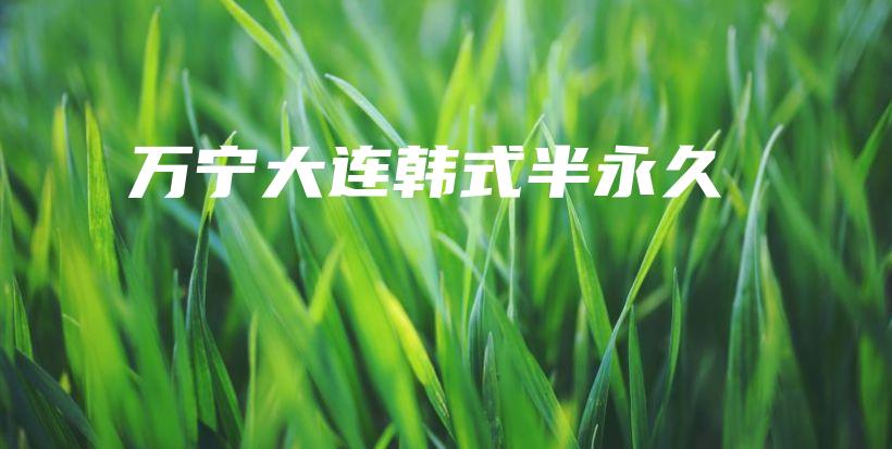 萬寧大連韓式半永久插圖