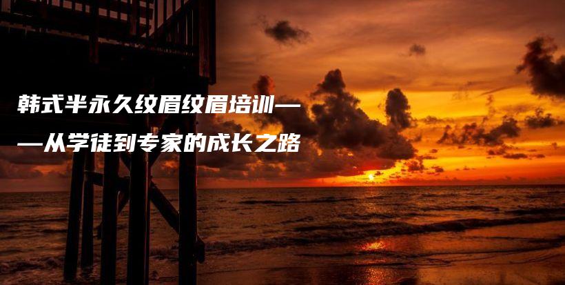 韓式半永久紋眉紋眉培訓(xùn)——從學(xué)徒到專家的成長之路插圖