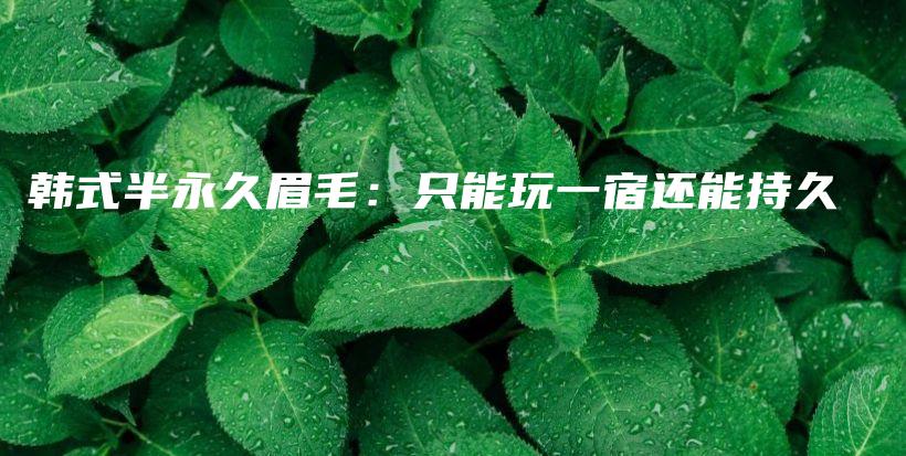 韓式半永久眉毛：只能玩一宿還能持久插圖
