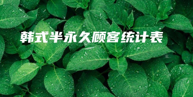 韓式半永久顧客統(tǒng)計(jì)表插圖