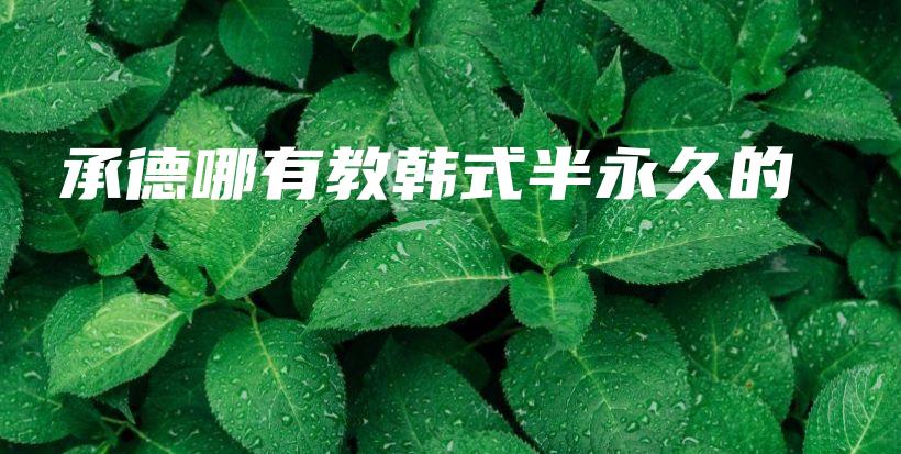 承德哪有教韓式半永久的插圖