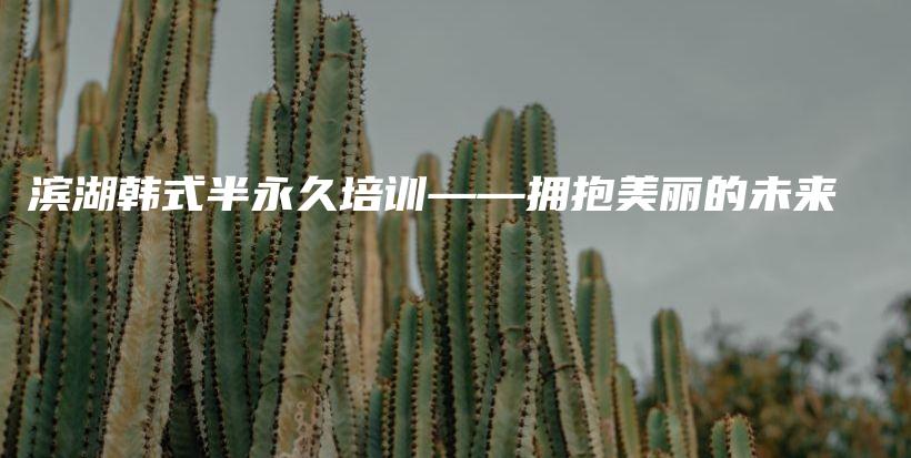 濱湖韓式半永久培訓(xùn)——擁抱美麗的未來插圖