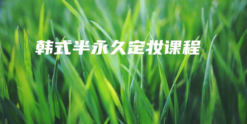 韓式半永久定妝課程插圖